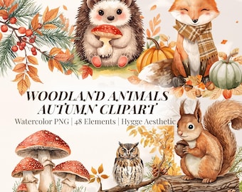 Op de afbeelding: Waterverf illustratie met bosdieren en herfst elementen. De afbeelding bevat een egel, vos, pompoenen, eekhoorn en uil. Tekst luidt "Woodland Animals Autumn Clipart". De clipart heeft 48 elementen.