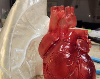 Custom Anatomical Heart