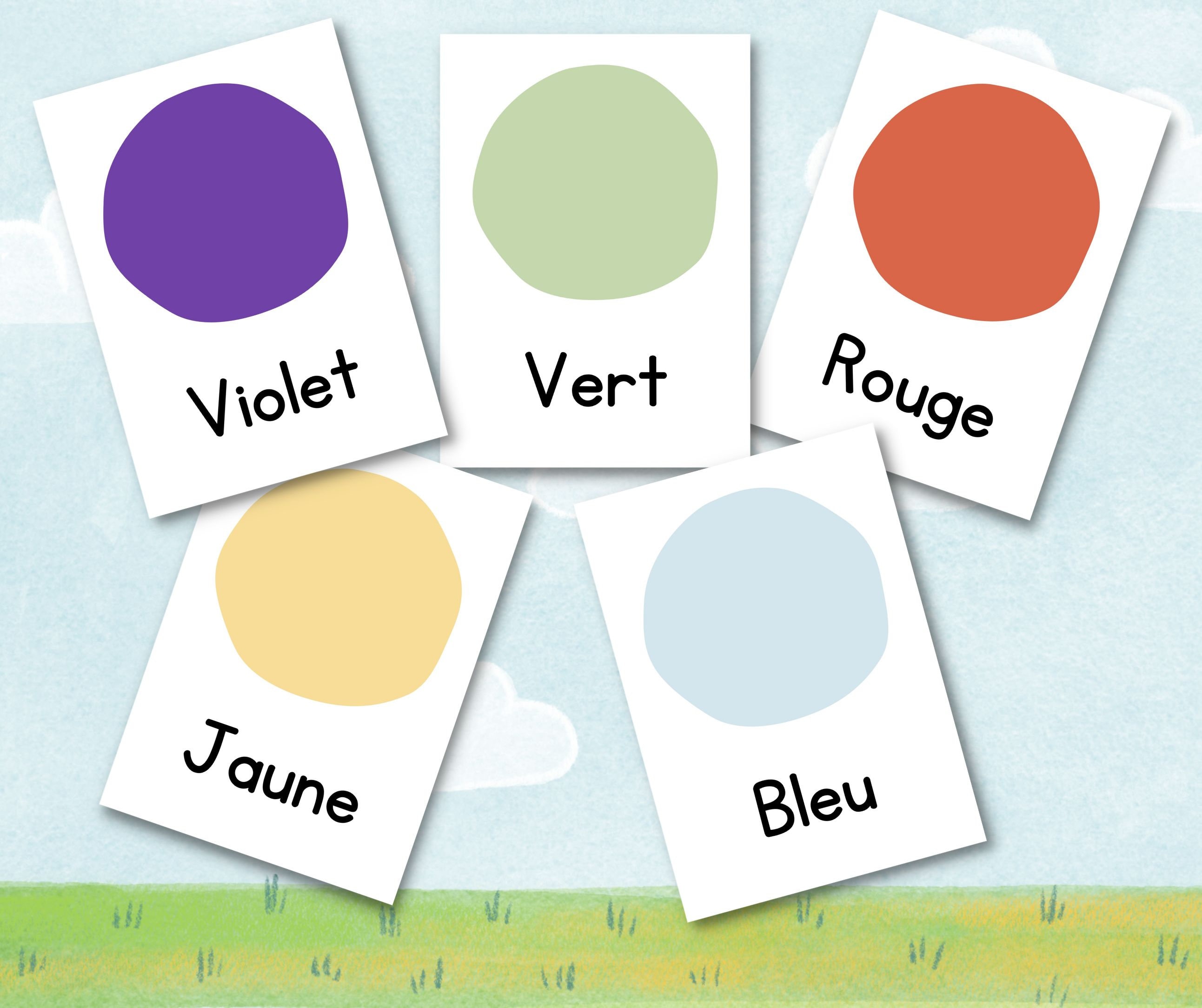 French Colors Flashcards Les Couleurs Etsy