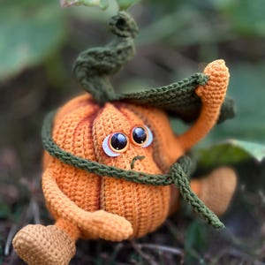 May include: A crocheted pumpkin with a green stem and leaves, wearing a green scarf. The pumpkin has a sad expression with large, round eyes.