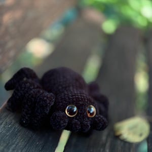 Peut inclure: Araign&eacute;e noire en crochet, faite &agrave; la main, avec de grands yeux brillants de couleur ambre. Le jouet en peluche est pos&eacute; sur un banc en bois vieilli, avec un arri&egrave;re-plan vert flou. L'araign&eacute;e a huit pattes et un corps arrondi.