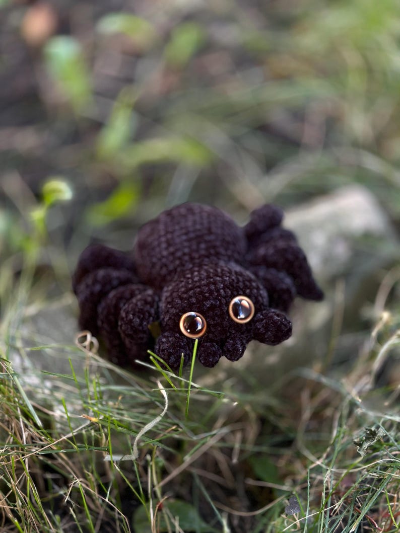 Peut inclure: Une araign&eacute;e au crochet marron fonc&eacute; avec huit pattes et de grands yeux dor&eacute;s brillants. L'araign&eacute;e est plac&eacute;e dans un lit d'herbe verte, cr&eacute;ant un cadre naturel. L'araign&eacute;e faite &agrave; la main est un objet d&eacute;coratif unique.