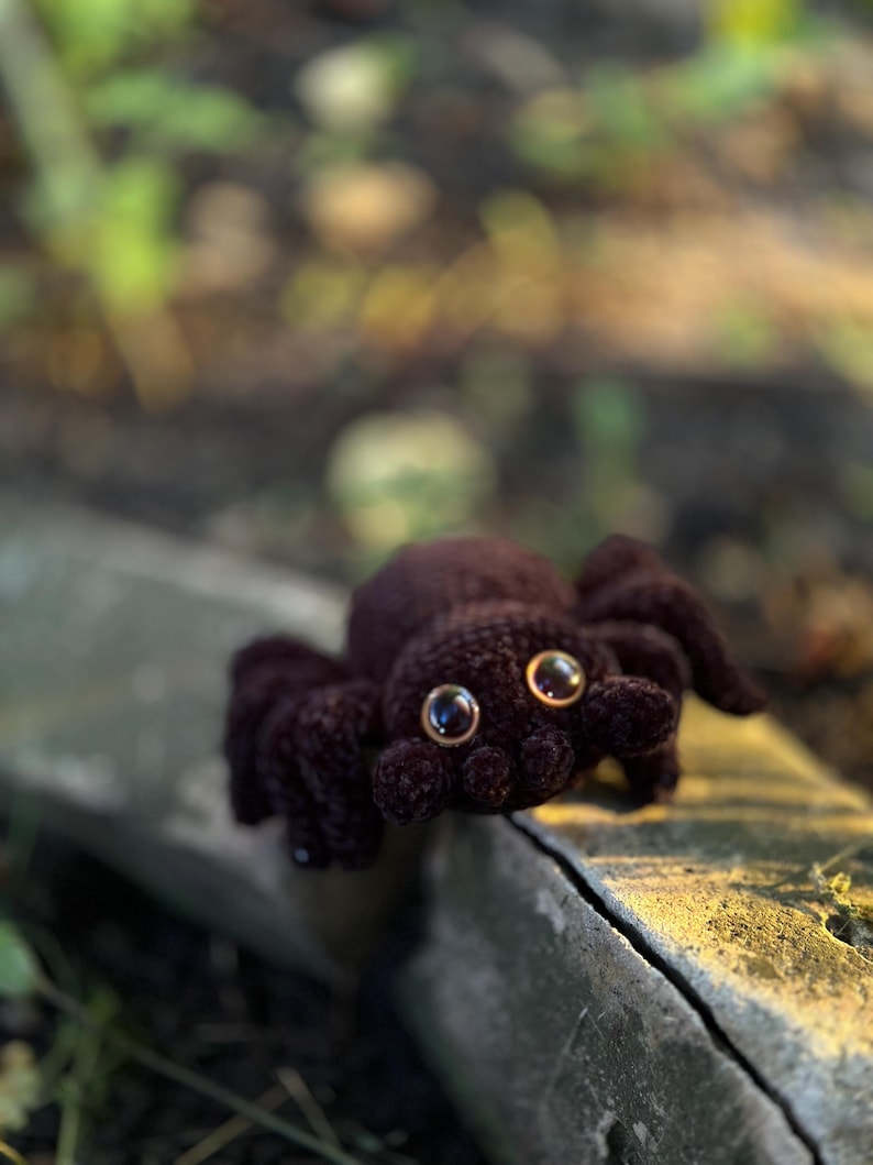 Peut inclure: Un jouet d'araign&eacute;e fait &agrave; la main, en crochet marron fonc&eacute;, avec de grands yeux brillants brun dor&eacute;. L'araign&eacute;e a huit pattes et un corps arrondi. Le jouet en peluche repose sur une surface en b&eacute;ton, avec un arri&egrave;re-plan vert flou.