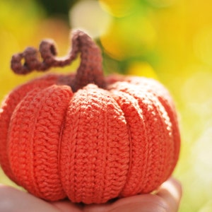 Crochet pumpkin pattern PDF in Eng, size 3.5, Halloween and Thanksgiving Crochet Pumpkin Decor Pattern, amigurumi pumpkin tutorial image 2