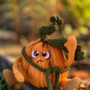 May include: A crocheted pumpkin with a sad expression, wearing a green crocheted scarf and hat. The pumpkin is sitting on a rock with green foliage in the background.