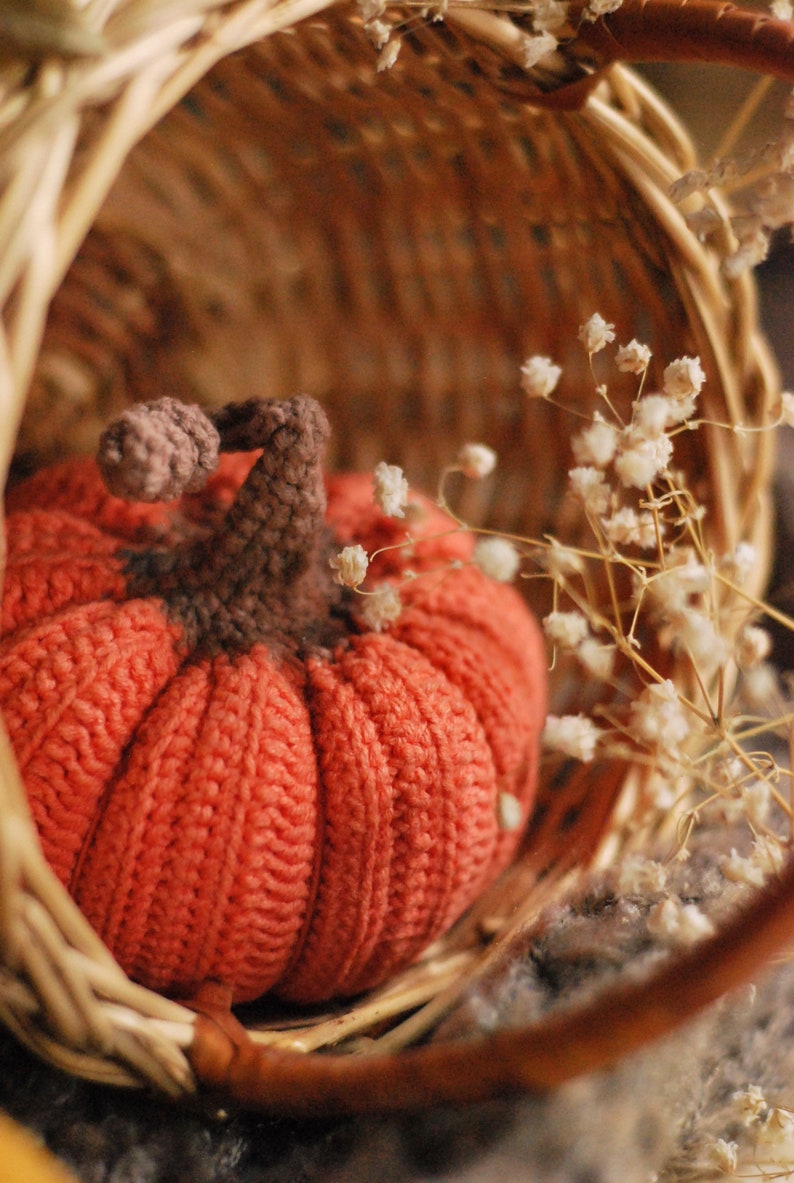 Crochet pumpkin pattern PDF in Eng, size 3.5, Halloween and Thanksgiving Crochet Pumpkin Decor Pattern, amigurumi pumpkin tutorial image 7