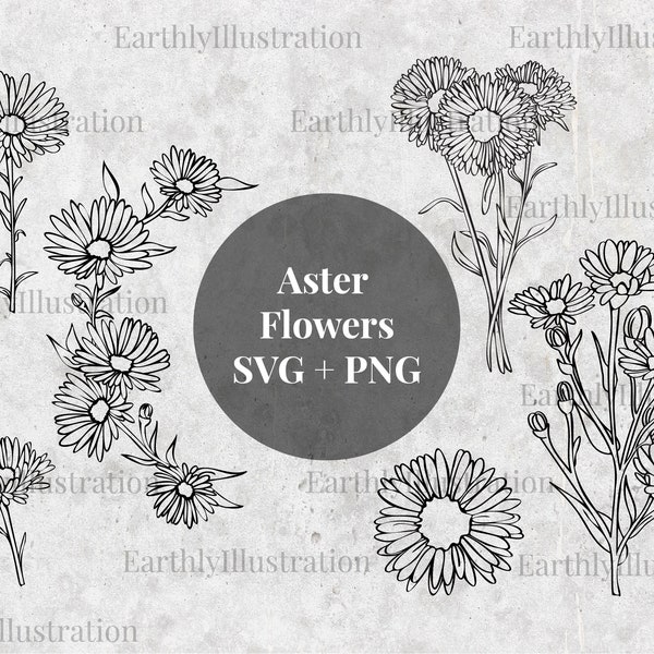 Aster flower set | 6 Aster designs, SVG & PNG files, instant download, hand drawn, for commercial use, Cricut, crafting etc