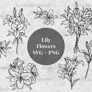 Set of 7 lily flower designs, SVG & PNG files, instant download, hand drawn, For commercial use, Cricut, crafting etc