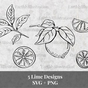 5 Lime/Lemon Designs, SVG & PNG files, instant download, hand drawn, for commercial use, Cricut, etc