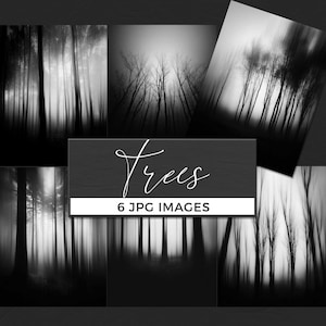 May include: A collection of six black and white forest landscape images. The images feature blurred and detailed views of trees in a misty environment. The central image has the word "Trees" in cursive and the text "6 JPG IMAGES".