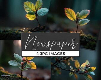 Macro Plant Scene Art, Nature Backdrop Poster, Forest Floor Wall Decor, Botanical Print Download, Digital Nature Artwork