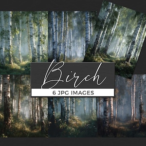 Può includere: Una collezione di sei immagini JPG che raffigurano una serena scena forestale con alti alberi di betulla. Le immagini mostrano gli alberi con corteccia bianca e segni scuri, in un ambiente nebbioso e soleggiato. La parola "Birch" è scritta in corsivo, con il testo "6 JPG IMAGES" sotto.