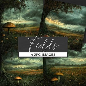 Dark Fantasy Rainy Field Digital Scene, Enchanted Stormy Landscape, Moody Mushroom Forest Art, Mystical Nature Background Design, Backdrop