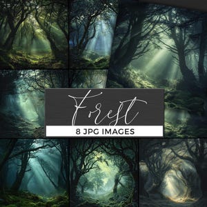 Toile de fond numérique clairière, rayons de soleil à travers les arbres, scène de forêt enchantée, toile de fond nature mystique, lumière de forêt fantastique