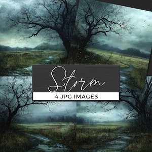 Arrière-plan numérique orageux, toile de fond sombre champ de pluie, scène de nature de mauvaise humeur, paysage de ciel dramatique, météo fantastique Art numérique JPG