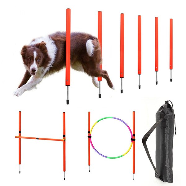 Agility Equipment Etsy