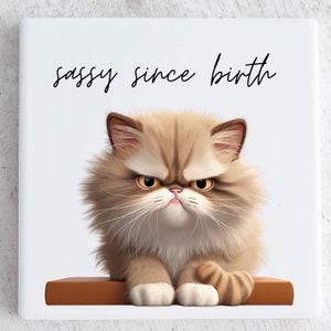 Funny Cat Coaster Set – Grumpy Sassy Cat Quotes – Sassy Since Birth, My Judgmental Stare – Gift for Cat Lovers – Cute Ceramic Coasters