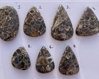 May include: Seven polished gemstones with unique patterns and colors. The stones vary in shape, including oval and teardrop designs. The colors include shades of brown, tan, and black, with circular and irregular patterns.