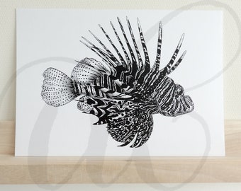 pen drawing lionfish printed on luxury paper