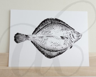 pen drawing plaice printed on luxury paper