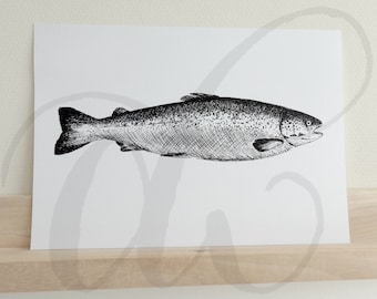 pen drawing salmon printed on luxury paper