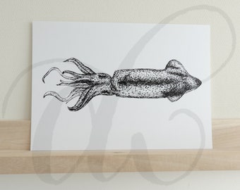 pen drawing squid printed on luxury paper