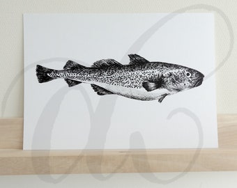 pen drawing of cod printed on luxury paper