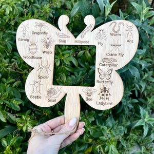 Forest School Insect Identifier With Frame Viewer | Outdoor Learning | Forest School Resources | Early Years Resources | Montessori Resource