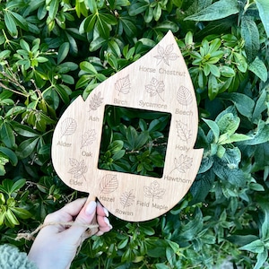 Forest School Leaf Identifier With Frame Viewer | Outdoor Learning | Forest School Resources | Early Years Resources | Montessori Resources