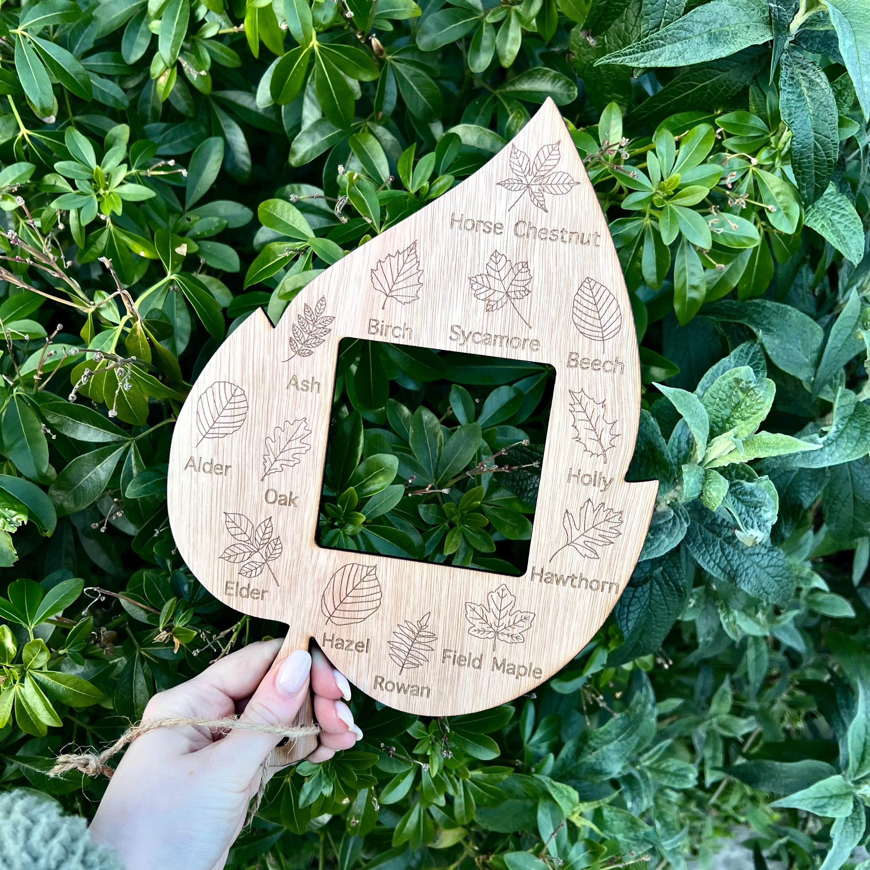 Forest School Leaf Identifier With Frame Viewer | Outdoor Learning ...