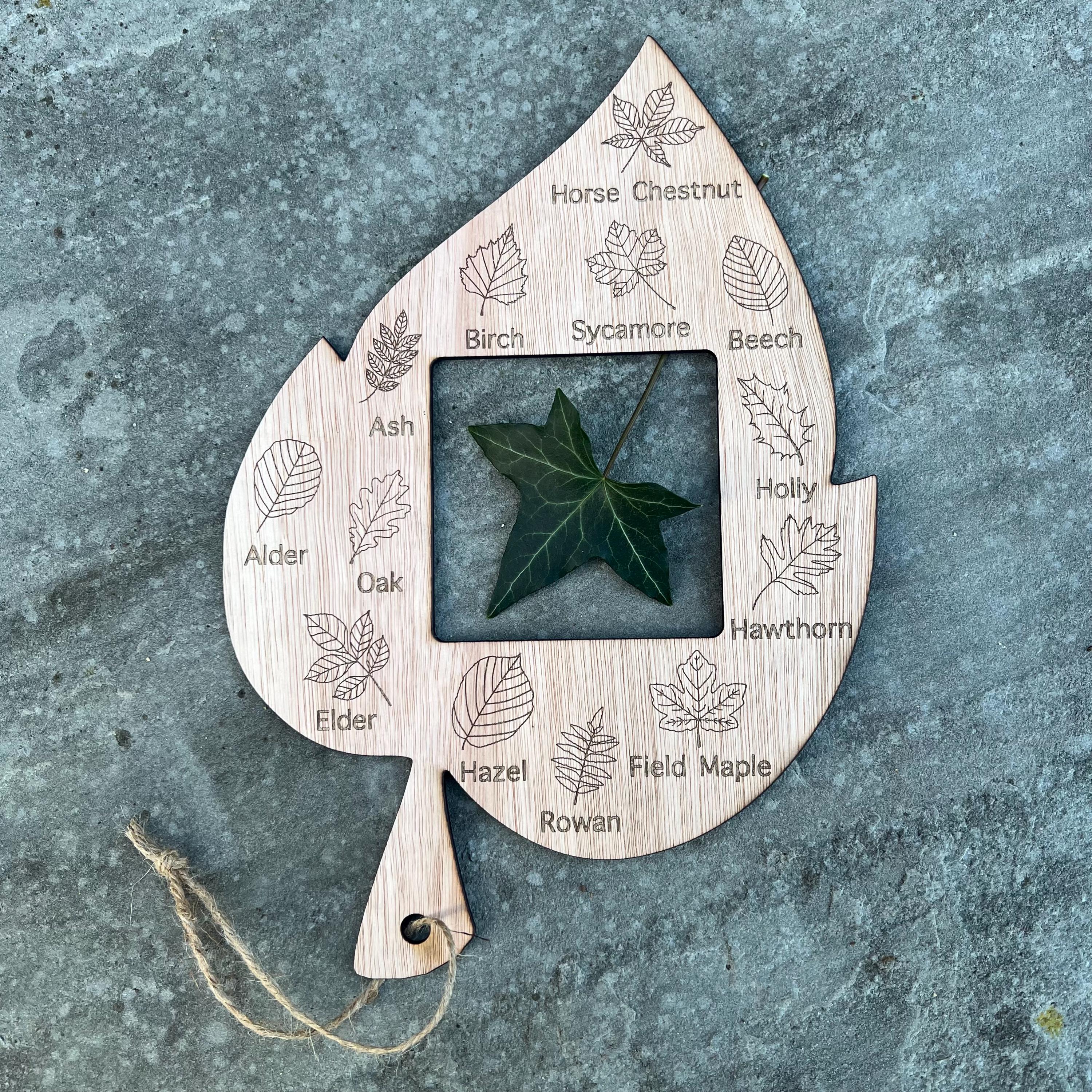 Forest School Leaf Identifier With Frame Viewer | Outdoor Learning ...