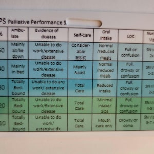 Hospice Nurse PPS FAST Scales Reference Card, Palliative Care PVC Badge ...