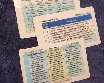 Hospice Nurse Reference Cards Bundle (PPS, NYHA, Paint Picture) PVC Badge Buddy