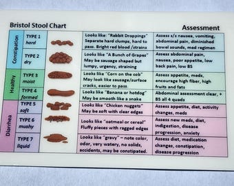 Hospice Nurse Badge Buddy: Bristol Stool Chart & Bowel Regimens