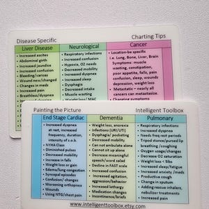 Hospice Home Health RN LPN  ID Badge Buddy: Disease Specific Charting Tips Reference card