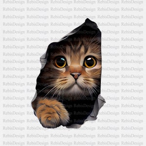 Cat Design - PNG File - PNG File - Digital Download - Sublimation - Cat Head - Kitten - Little Kitten - Cat Coming Out of T-Shirt
