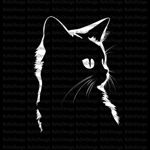 Cat Design - PNG File - PNG File - Digital Download - Sublimation - Cat - Cat Head - Kitten - Little Kitten