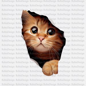 Cat Design - PNG File - PNG File - Digital Download - Sublimation - Cat Head - Kitten - Little Kitten - Cat Coming Out of T-Shirt