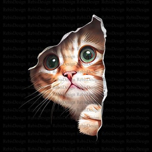 Cat Design - PNG File - PNG File - Digital Download - Sublimation - Cat Head - Kitten - Little Kitten - Cat Coming Out of T-Shirt