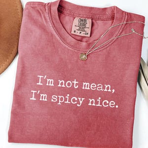 May include: A crimson short-sleeve t-shirt with a crew neckline and the white printed text "I'm not mean, I'm spicy nice." The shirt features a Comfort Colors brand label at the inner neck and is displayed with a delicate gold-tone necklace.