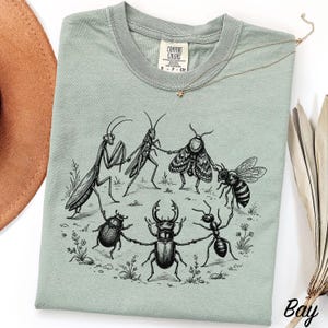 May include: A sage green t-shirt featuring a black ink illustration of a praying mantis, grasshopper, moth, bee, beetle, and ant holding hands in a circle. The shirt has a Comfort Colors label at the neck and a crew neckline design.