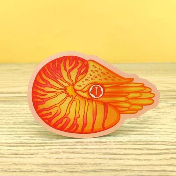 Sunset Nautilus Sticker, Vaporwave Effect, Matte Sticker. Great for any Cephalopod Lover, Biologist, or Ocean Lover.