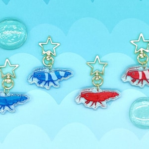 Cute Shrimp Keychains, Double-sided Acrylic, Glitter . Great for any shrimp lover, biologist, aquarist, and people who love crustaceans!