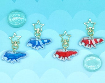 Cute Shrimp Keychains, Double-sided Acrylic, Glitter . Great for any shrimp lover, biologist, aquarist, and people who love crustaceans!