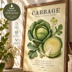 Vintage Cabbage Botanical Print | Farmhouse Kitchen Wall Art (Digital Download)