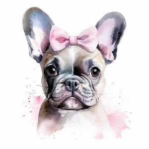 Aquarell Französische Bulldogge Frenchie Clipart Hund Art Printable 20 Digitale Downloads