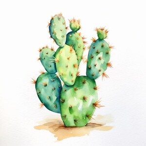 Watercolor Cactus Clipart Flowers 20 Printable Digital Downloads - Etsy