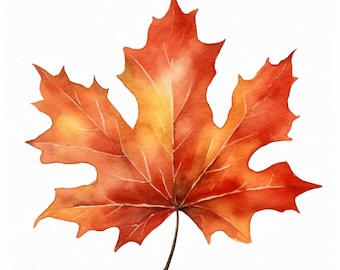 Aquarel Fall Leaf Clipart Art afdrukbare 20 digitale downloads