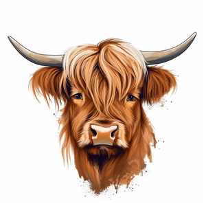 May include: A close-up of a Highland cow with long, shaggy brown and white fur. The cow has a soft, brown nose and large, dark eyes.