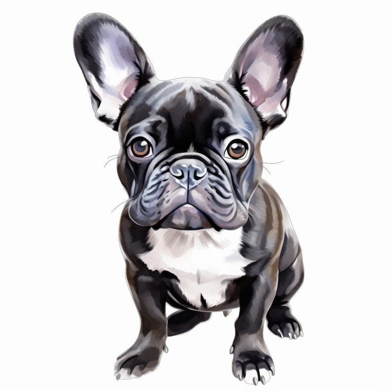 French Bulldog Frenchie Clipart Dog Art Printable 20 Digital - Etsy
